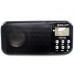 Радиоприёмник NGY-102 (MP3 / SD / USB / часы / будильник / фонарик) (6 Вт)