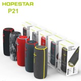 HOPESTAR P21 (10 Вт) FM/Bluetooth/USB/SD